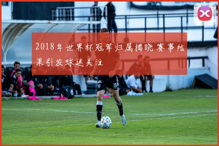 2018年世界杯冠军归属揭晓 赛事结果引发球迷关注