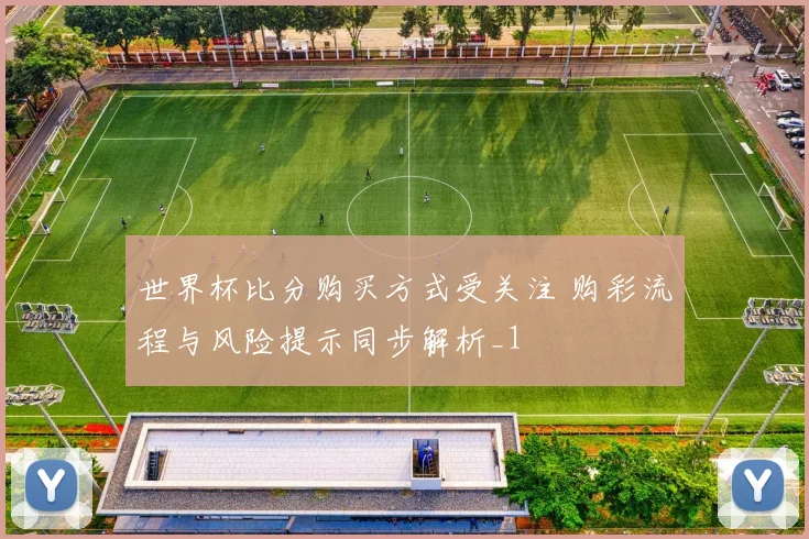 世界杯比分购买方式受关注 购彩流程与风险提示同步解析_1
