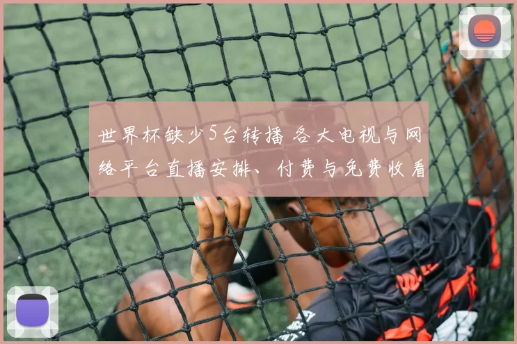 世界杯缺少5台转播 各大电视与网络平台直播安排、付费与免费收看指南